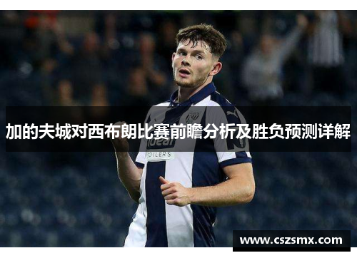 加的夫城对西布朗比赛前瞻分析及胜负预测详解