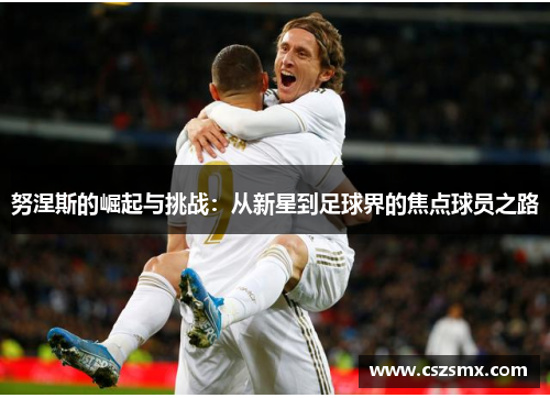 努涅斯的崛起与挑战：从新星到足球界的焦点球员之路