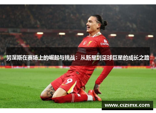 努涅斯在赛场上的崛起与挑战：从新星到足球巨星的成长之路